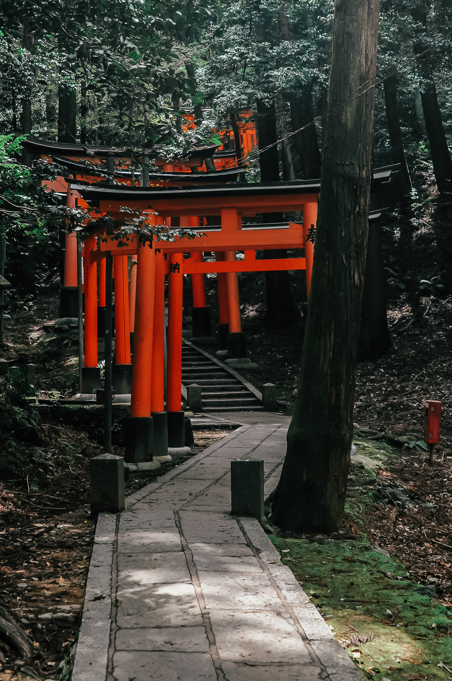 Fushimi Inari Kioto